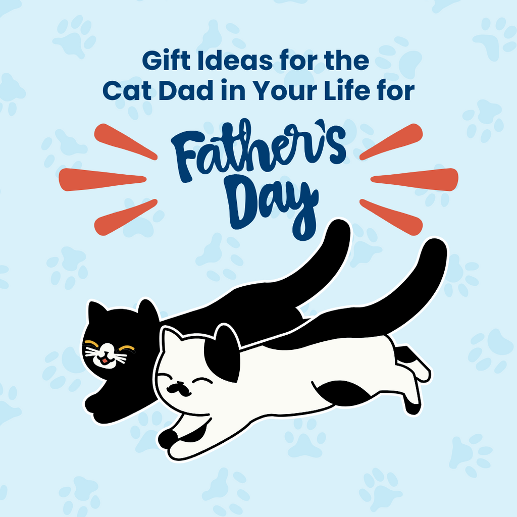 Gift Ideas for the Cat Dad in Your Life (Father’s Day Edition)