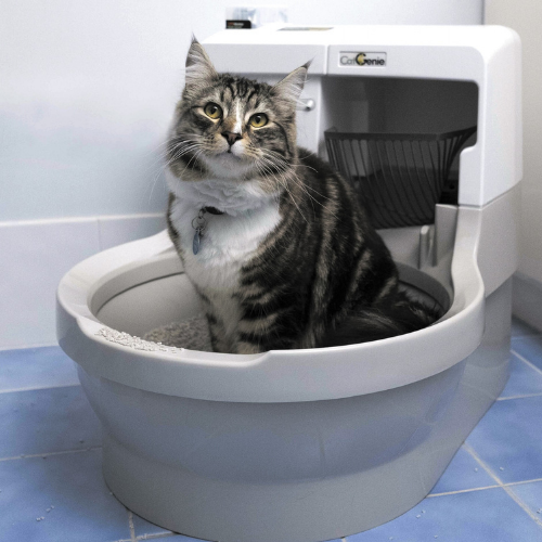 CatGenie Setup: Do's and Don'ts