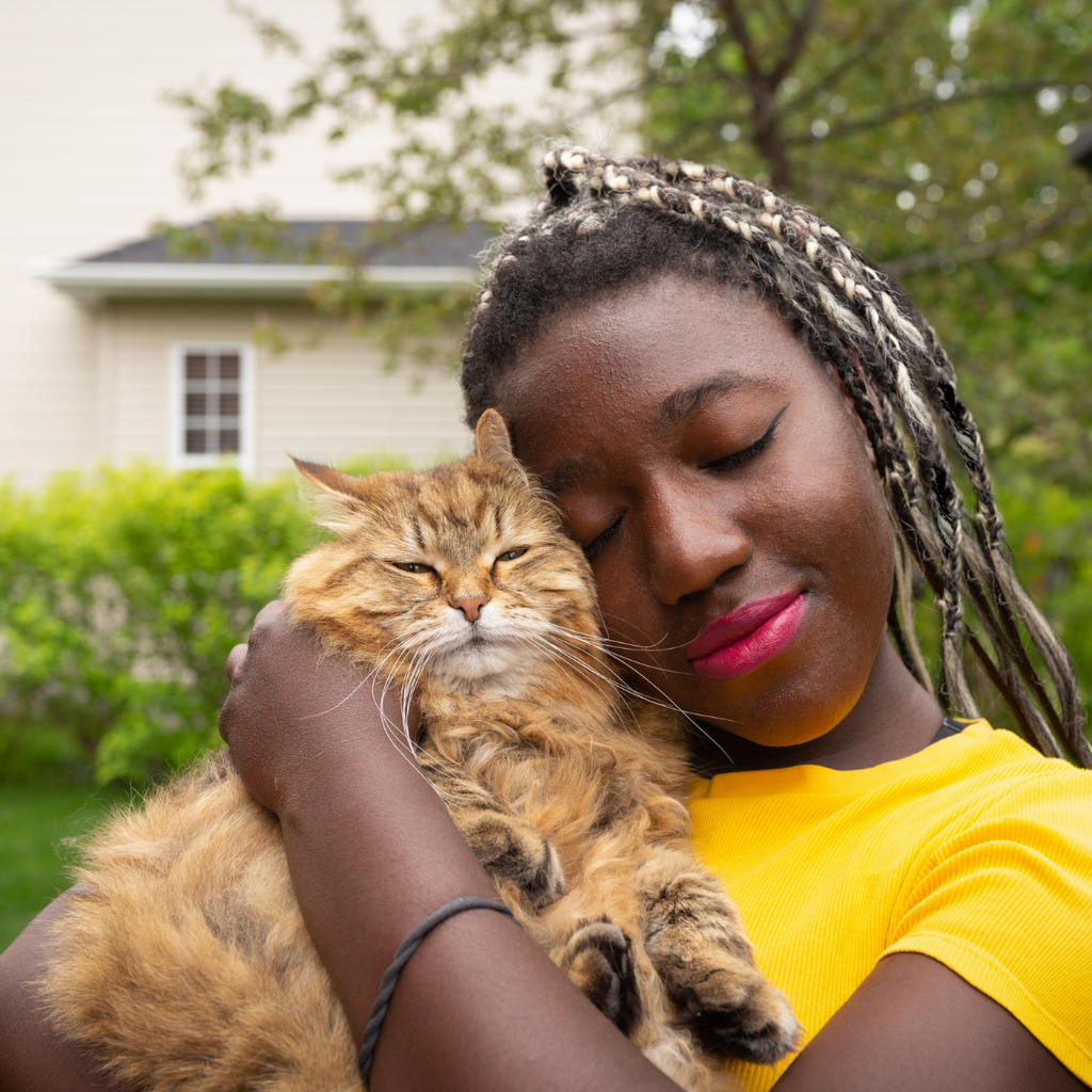 5 Ways To Reduce Kitty’s Carbon Paw-Print