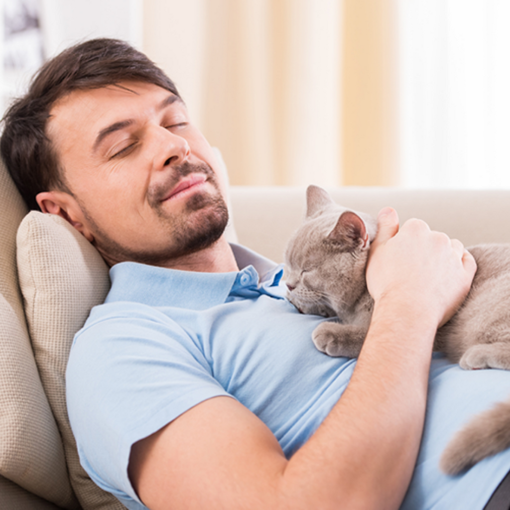 Why All Men Should Adopt Cats