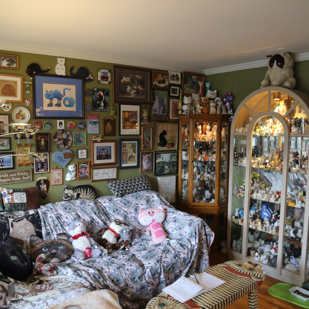 Cat Lover World Record?: Wisconsin Couple Turns Home into Cat Figurine "Mewseum"