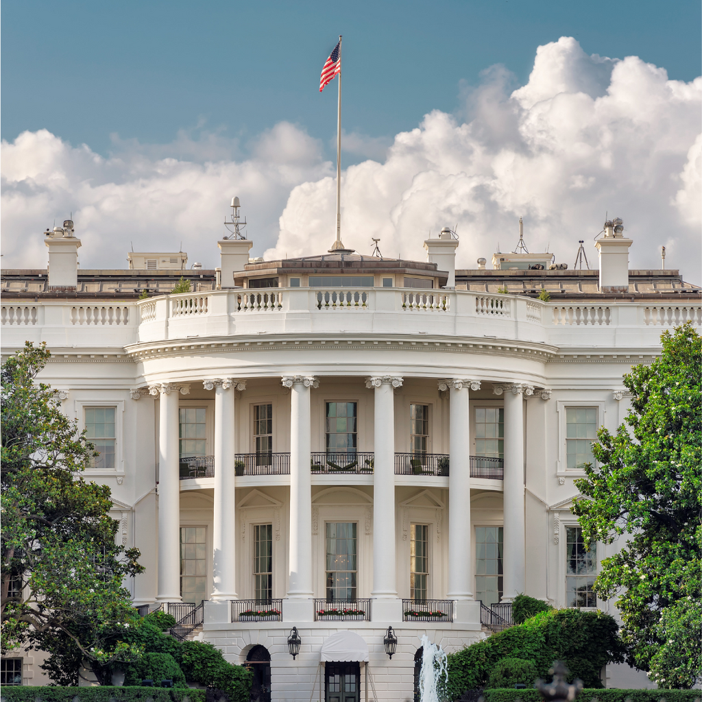 White House Cat Watch