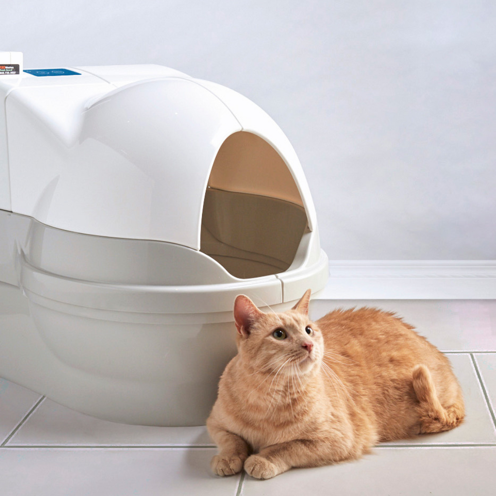 Why the CatGenie Whoosh Is the Best Automatic Litter Box on the Market