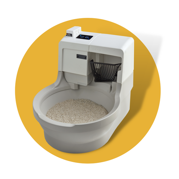 Cat litter top box washes itself